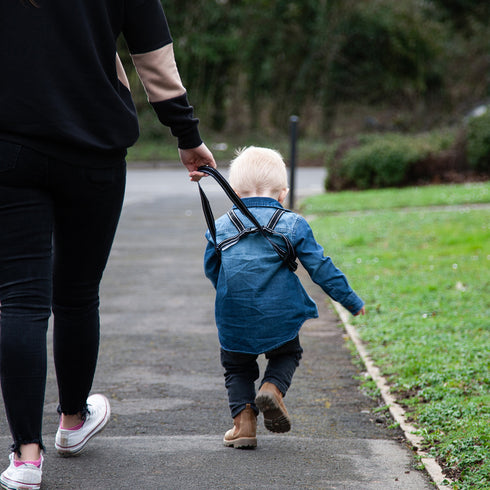 Red Kite Harness & Reins Black
